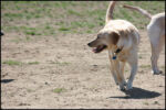 IMG_7959.jpg
