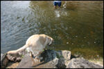 IMG_4774.jpg