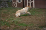 IMG_7161.jpg
