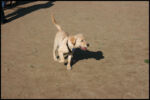 IMG_2600.jpg