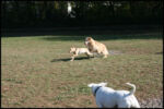 IMG_2619.jpg