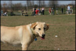 IMG_3836.jpg