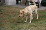 IMG_7291.jpg