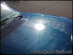 PB220065.jpg