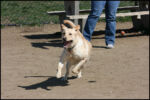 img_8021.jpg