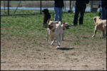 IMG_7985.jpg