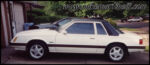 Ponies1.jpg