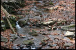 IMG_2864.jpg