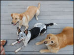 DSCN2496.jpg