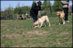 IMG_4410.jpg