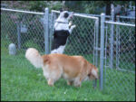 DSCN2471.jpg