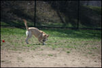 IMG_7922.jpg