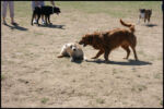 IMG_3686.jpg