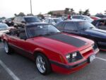 Fox-a-Que2010069.jpg