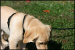 IMG_2273.jpg