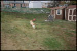 IMG_7234.jpg