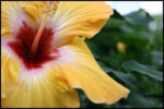 IMG_7174.jpg