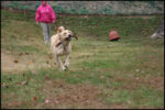 IMG_7165.jpg