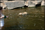 IMG_4895.jpg