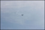 IMG_5637.jpg