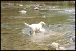 IMG_5176.jpg