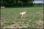 IMG_4658.jpg