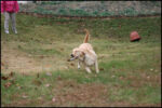 IMG_7182.jpg
