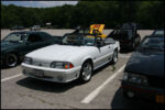 IMG_5146.jpg