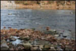 IMG_2860.jpg