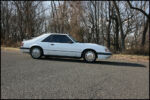1986MustangSVO-IMG_0416.jpg