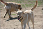IMG_7961.jpg