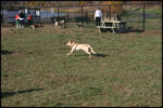 IMG_2998.jpg