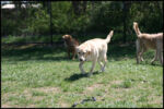 IMG_4431.jpg