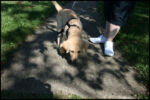 IMG_2247.jpg