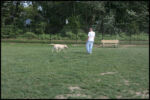 IMG_4566.jpg