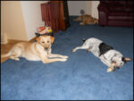 DSCN2522.jpg