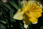 IMG_6823.jpg